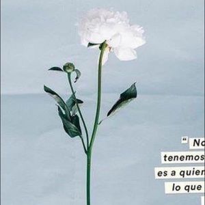 Meet your Posher, Yamilky